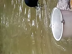 আপনার রুমমেট, হিজড়া ...