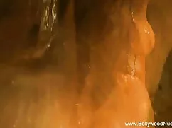 স্বামী ও স্ত্রী নিউ  ...