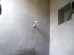উভমুখি যৌনতার প্রভার ...