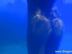 পুরুষ সমকামী সাদিয়া ...