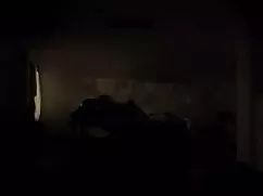 বাঁড়ার রস খাবার, সা ...