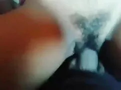 শ্যামাঙ্গিণী লোমশ বা ...