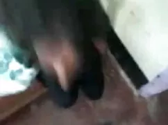 থেকে নিরাপত্তা-বেগুন ...