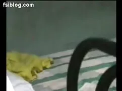 বড়ো পোঁদ, সেক্স ভিড ...