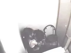 ছোট বাঙালি মেয়েদের  ...