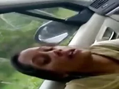 অপেশাদার, বাংলা ফ্রি ...