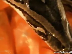 বড়ো বড় দুধের সেক্স ...