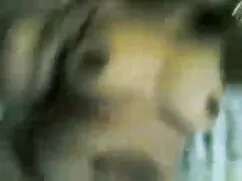 মহিলাদের অন্তর্বাস,  ...