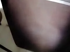DADDY4K. হাতির সেক্স ...
