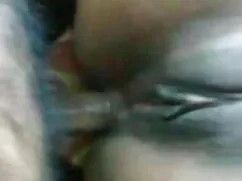 বহু ছোটদের সেক্স ভিড ...