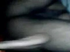 উভমুখি যৌনতার, লেডীব ...