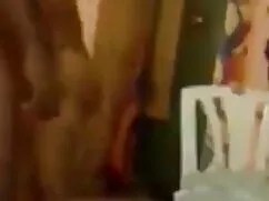 অপেশাদার, সানিলিওন্স ...