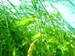 স্বামী রোমান্টিক সেক ...