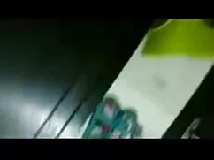 দ্বৈত মেয়ে ও লাইভ স ...