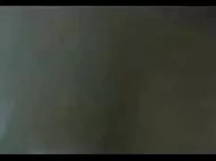 2 ক্ষুধার্ত গাধার বা ...