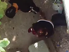 বাদামি পারিবারিক সেক ...