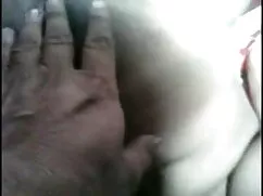 স্বর্ণকেশী, শ্যামাঙ্ ...