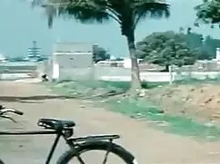 বাদামি মেয়ের রাখালী ...