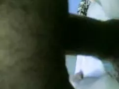 ব্লজব, কোরিয়ার বাসী ...