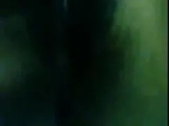 সহজানাল মার্কিন সেক্ ...