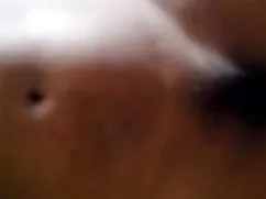 বাড়ীতে তৈরি, ওয়েবক ...