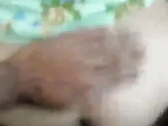 বাড়ীতে তৈরি মারাঠি  ...